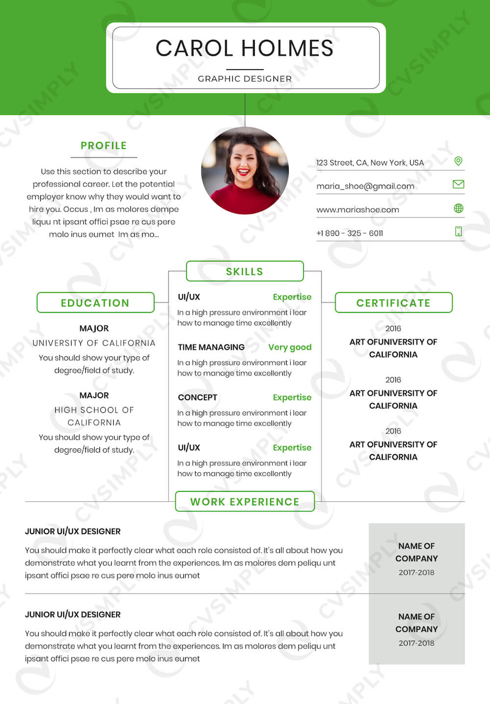 Bad Cv Example Good Resume Examples Resume Examples Resume Template